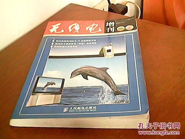 无线电 2005增刊